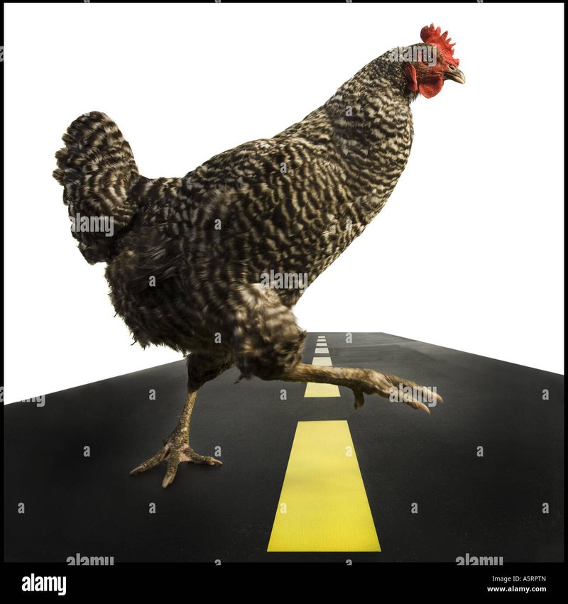 Descubre el Atractivo del Juego de Azar en la Vía del Pollo en España in Spain
